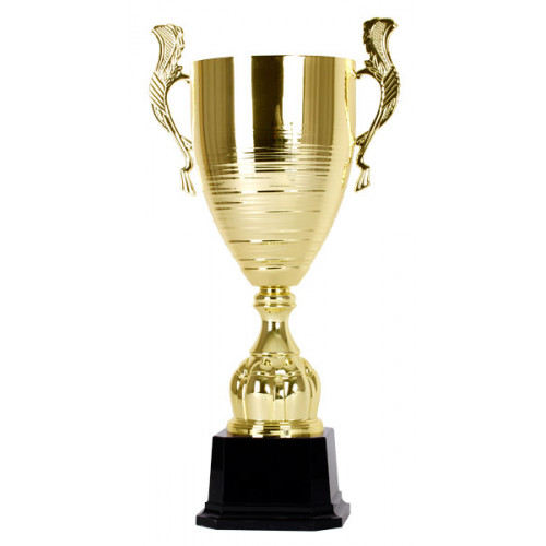 Кубок 2559B (65 см) D-220